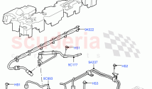 Fuel Injectors And Pipes (3.0L AJ20D6 Diesel High)