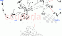 Engine Harness (2.0L AJ20P4 Petrol High PTA, Changsu (China), 2.0L AJ20P4 Petrol M&hellip;