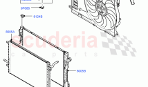 Radiator/Coolant Overflow Container (2.0L AJ20D4 Diesel Mid PTA, Itatiaia (Brazil)&hellip;