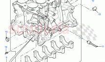Cylinder Block And Plugs (2.2L 16V TC I4 DSL 122PS PUMA) ((V) FROMCA000001)