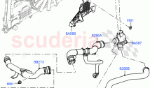 Thermostat/Housing & Related Parts (Nitra Plant Build) (3.0 V6 D Gen2 Mono Turbo, &hellip;