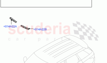 Hood And Related Parts (Bonnet - Body Colour Carbon Fibre, Bonnet - Exposed Carbon&hellip;
