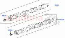 Camshaft (5.0L OHC SGDI SC V8 Petrol - AJ133, 5.0 Petrol AJ133 DOHC CDA, 5.0L P AJ&hellip;