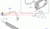Fuel System - Tank & Lines