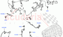 Engine Harness (Nitra Plant Build) (3.0L AJ20D6 Diesel High, Electric Engine Batte&hellip;