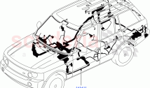 Electrical Wiring - Body And Rear ((V) FROMBA334633)