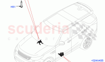 Floor Pan - Centre And Rear (Solihull Plant Build) (2.0L I4 DSL MID DOHC AJ200, 2.&hellip;