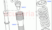 Rear Springs And Shock Absorbers (Itatiaia (Brazil)) ((V) FROMGT000001)