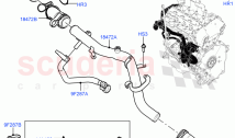 Thermostat/Housing & Related Parts (2.0L I4 Mid DOHC AJ200 Petrol, Itatiaia (Brazi&hellip;