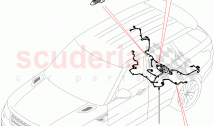 Electrical Wiring - Chassis (Chassis)