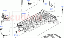 Cylinder Head (3.0L AJ20D6 Diesel High) ((V) FROMLA000001)
