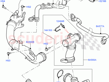 Photo of Hose…