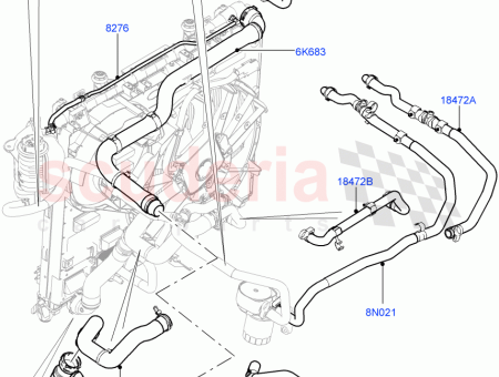 Photo of Hose…