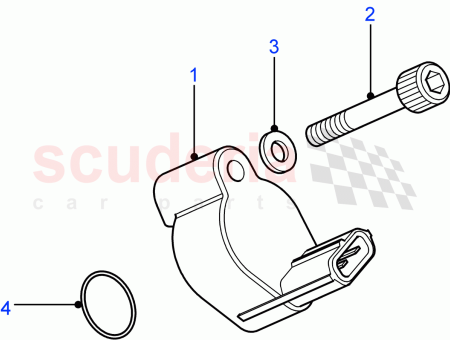 Photo of SCREW…