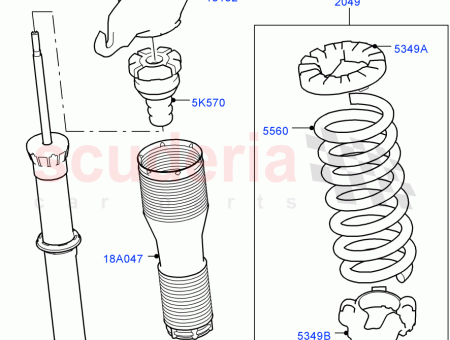 Photo of SPRING COIL…