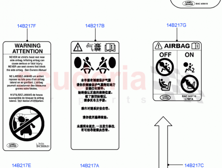 Photo of DECAL…